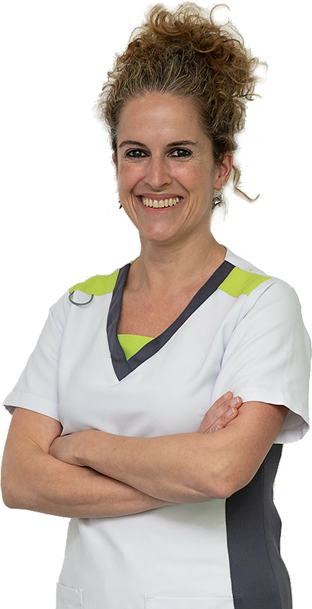 SAIOA https://www.baident.com/wp-content/uploads/2023/03/SAIOA.png